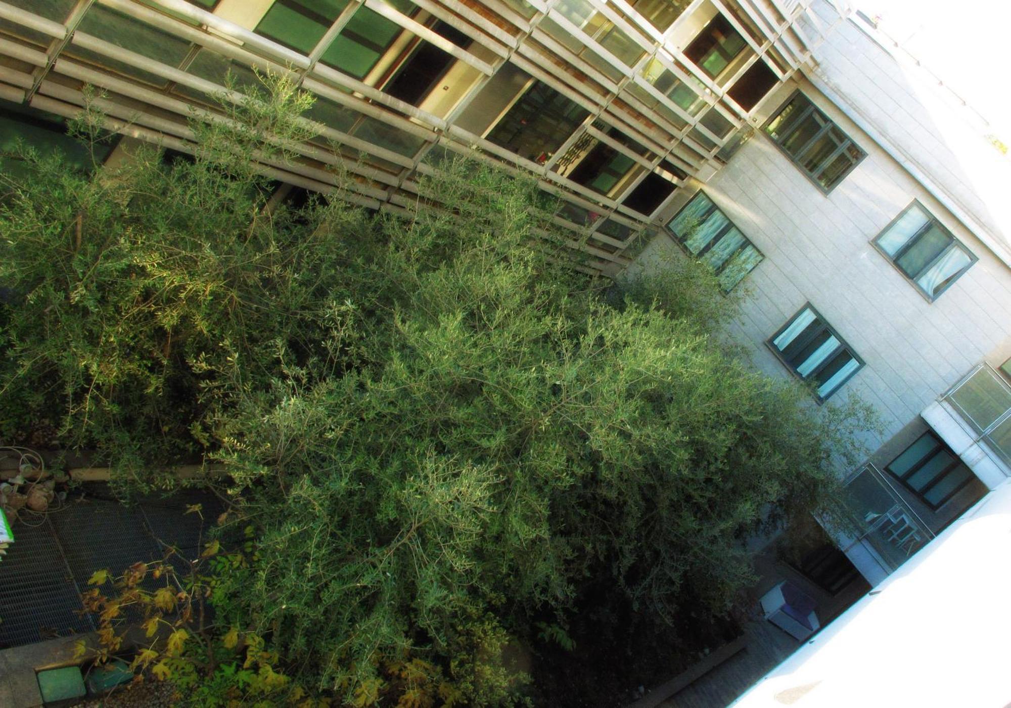 Caseospitali - Casa Navigli Watt, Vicino Al Naviglio, Originale E Luminoso Bilocale Per 4 Con Tutti I Comfort Μιλάνο Εξωτερικό φωτογραφία
